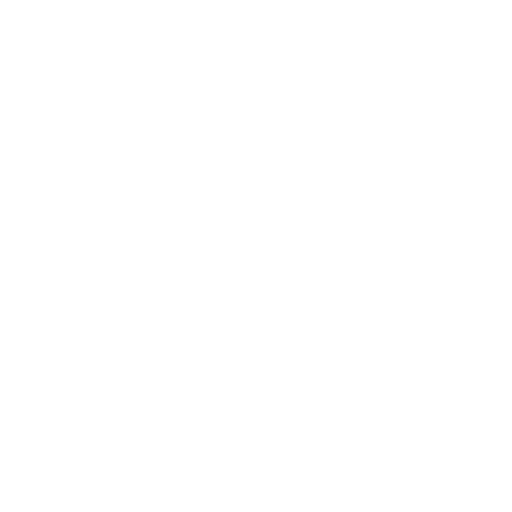 rupee icon