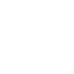 Safe Icon